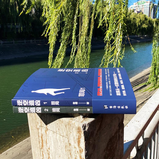 逆空追凶  罪局+暗网 老谭 著 小说 商品图3