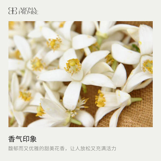 女生节限定 橙花公主礼盒装 橙花精油＋葡萄籽油 商品图1