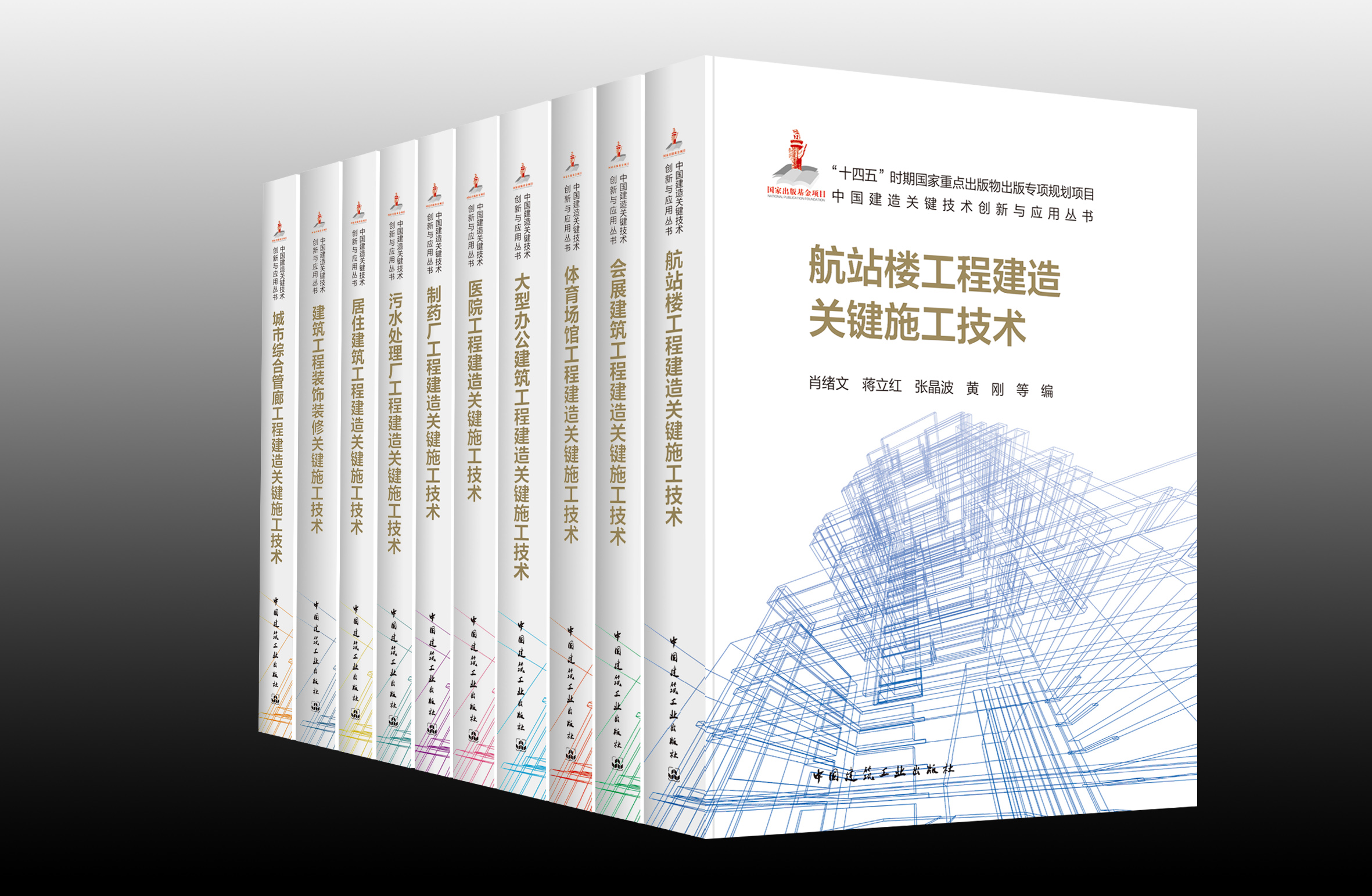 （任选）中国建造关键技术创新与应用丛书