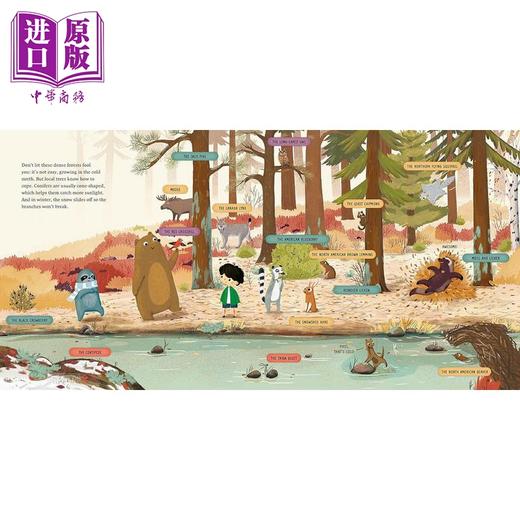 【中商原版】从森林回家 Take me Home Forests of the World 英文原版 儿童绘本 动物故事图画书 精装进口儿童读物 自然科普 商品图1