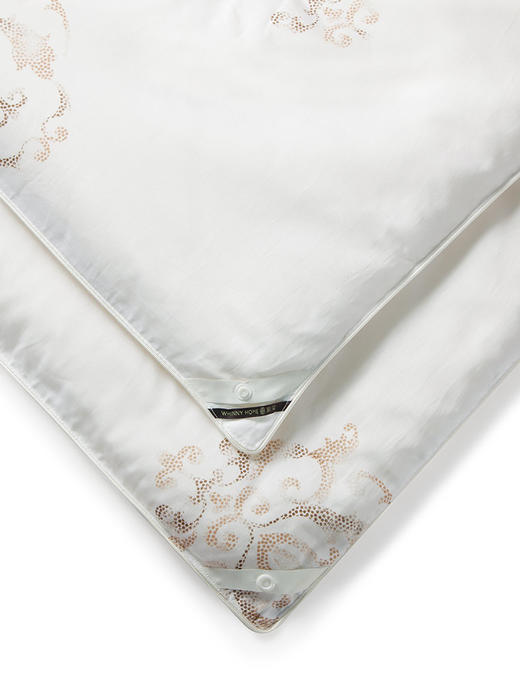 whinny/惠谊加厚保暖纤维被芯 莫利亚大豆保暖春秋被/冬被 商品图3