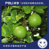 印度进口青柠檬精油 按摩单方进口精油原料 进口天然青柠檬精油 商品缩略图0