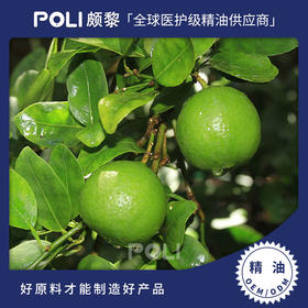印度进口青柠檬精油 按摩单方进口精油原料 进口天然青柠檬精油