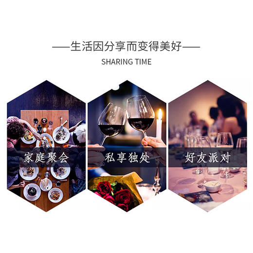 意大利进口恩佐文森阿玛罗尼干红葡萄酒750ml 商品图2