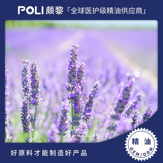 法国进口葛罗索醒目薰衣草精油精油原料批发颇黎进口香薰单方精油 商品图0