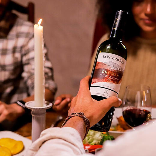 智利进口拉菲巴斯克特酿珍藏红酒750ml 商品图4