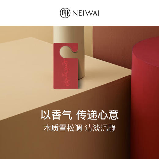 【3F】NEIWAI内外红盒抱抱杯软支撑文胸内裤套装无钢圈内衣女本命年新年礼盒 商品图2