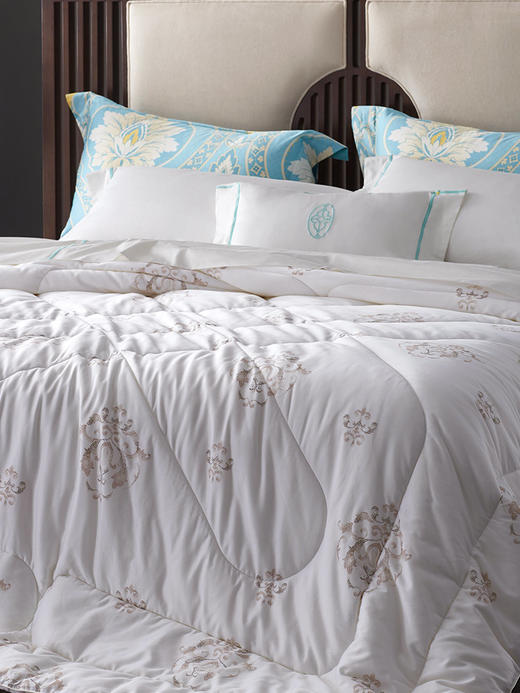 whinny/惠谊加厚保暖纤维被芯 莫利亚大豆保暖春秋被/冬被 商品图1