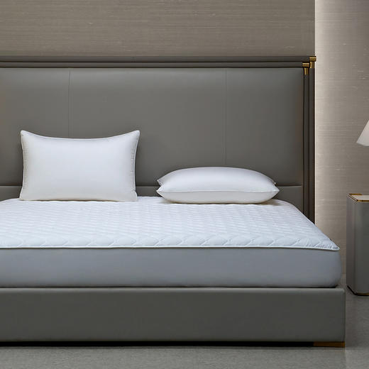 whinny/惠谊防滑保暖双人床垫 称心如意可水洗澳洲羊毛床护垫 商品图0