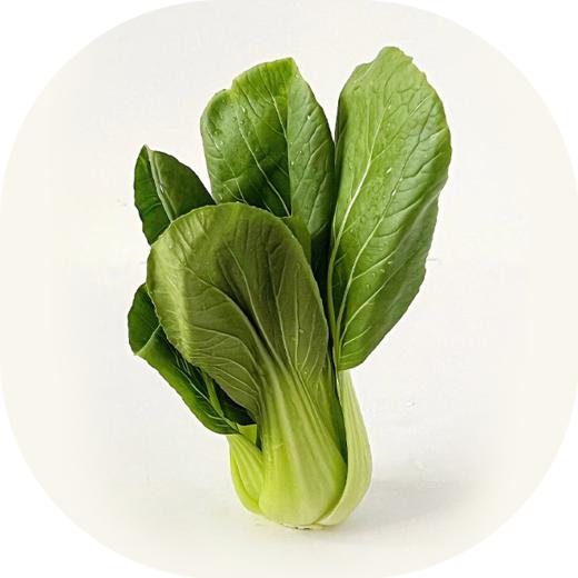 有机油菜 商品图0