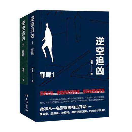 逆空追凶  罪局+暗网 老谭 著 小说 商品图4