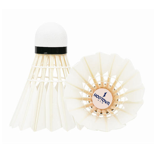 何大屋训练羽毛球12只装S500 商品图1