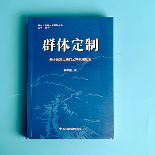 群体定制 基于智慧互联的公共战略规划 新时代教育创新系列丛书 高书国 教育战略规划 商品图1