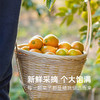 冰雪脆蜜晶柑24枚-5A（38-48g）| 精品水果礼盒 商品缩略图3