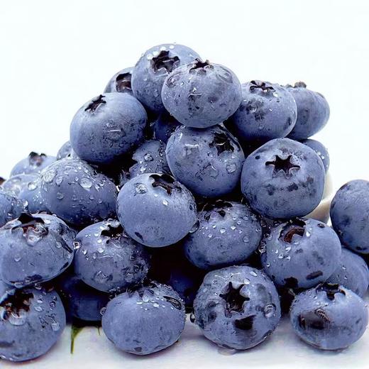 云南绿宝石蓝莓 商品图3