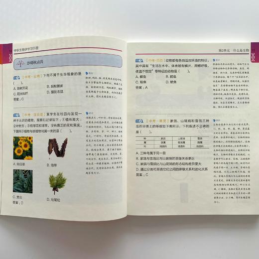 《DK图解中学生物学》+《DK图解中学化学》 商品图8