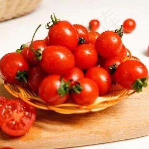 攀枝花露天小番茄 阳光千禧小番茄圣女果产地现摘现发彩箱装 顺丰包邮 商品图5