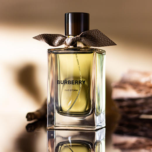 巴宝莉 植境花语高定系列-乌木风暴 Burberry Oud Storm 分装  商品图3