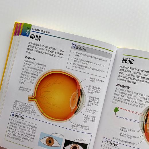 《DK图解中学生物学》+《DK图解中学化学》 商品图7