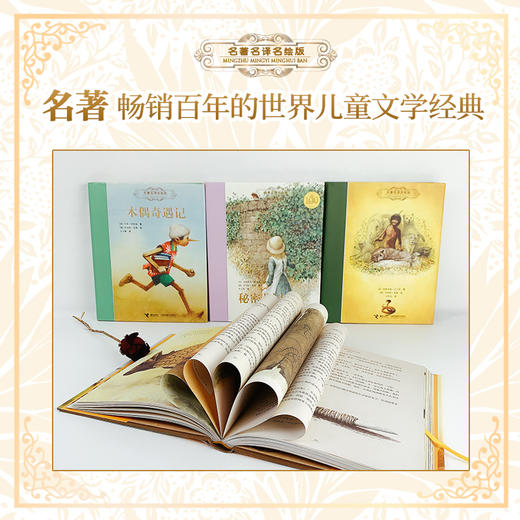 名著名译名绘：精装全译插图版大礼盒（全13册） 商品图1