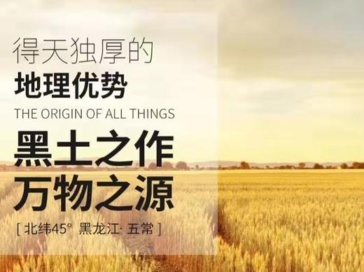 HEB稻花香大米5斤/袋/2袋 商品图7