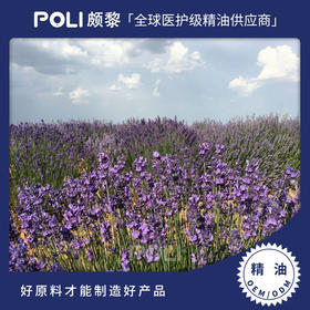 西班牙进口有机穗花薰衣草精油单方精油原料批发颇黎植物精油香薰