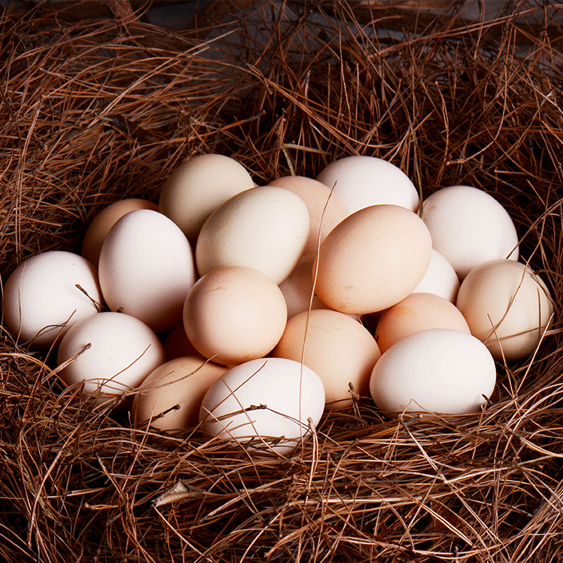 【营养加倍！谷物饲养农家鸡蛋】稻壳包装，蛋香醇郁，鲜香味浓。好味道，贴心价，值得一试；官网特供