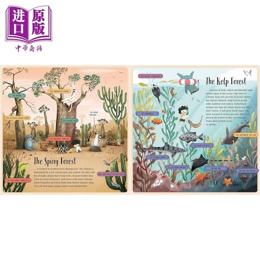 【中商原版】从森林回家 Take me Home Forests of the World 英文原版 儿童绘本 动物故事图画书 精装进口儿童读物 自然科普 商品图2