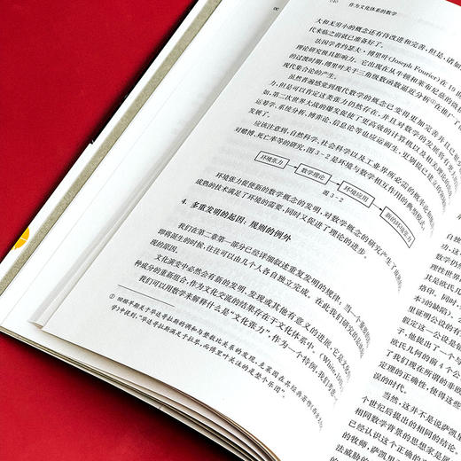 作为文化体系的数学 数学文化研究  R.L.怀尔德著  谢明初，陈慕丹译 商品图10