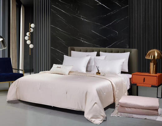 5楼罗曼罗兰明超皓月蚕丝被200x230cm 商品图0