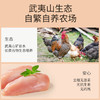 控能 鸡胸肉脆骨肠（原味/黑胡椒）礼盒 250g*6 商品缩略图1