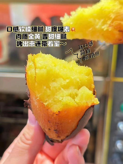 52°良作地瓜🍠一款上央视的良作地瓜🍠
蒸红薯口感软糯无筋，烤红薯香甜流油！甜、香、糯、粉，52度甜蜜新高度，也许正是你在寻找的那颗红薯！ 商品图0
