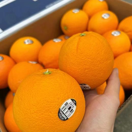 美国新奇士橙黑标脐橙3107 | 进口水果 商品图2