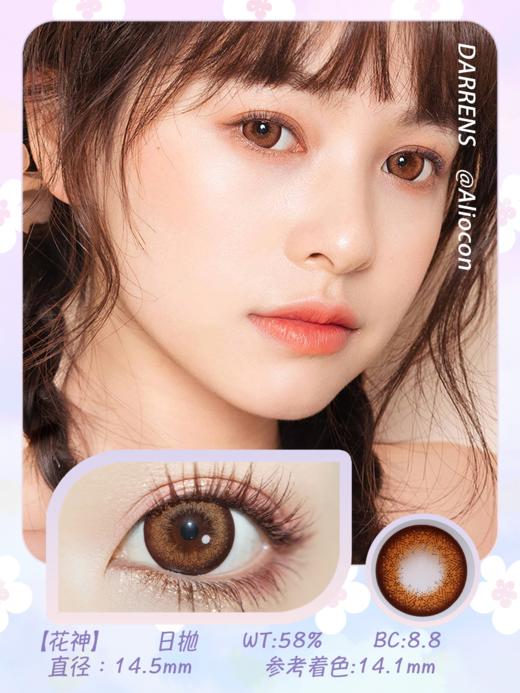 *Darrens花神棕 14.5mm【日抛|10片/盒】 商品图1