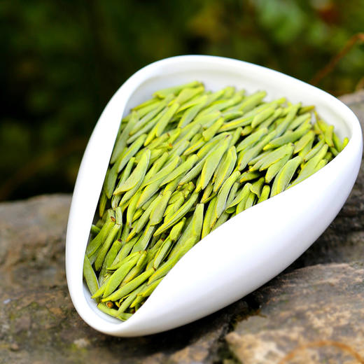 川红集团 宜宾早茶2025特级雀舌绿茶 高山茶园早茶新芽50g 商品图2