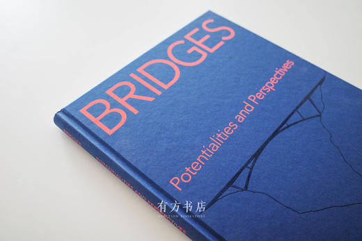 桥梁研究与设计要点 BRIDGES Potentialities and Perspectives 商品图1