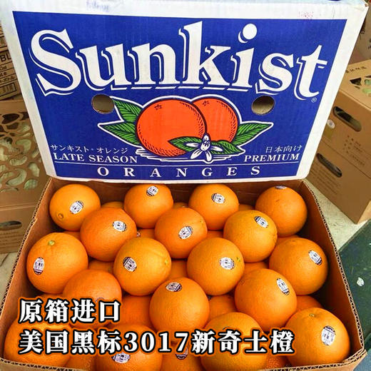 美国新奇士橙黑标脐橙3107 | 进口水果 商品图1