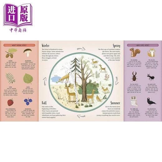 【中商原版】从森林回家 Take me Home Forests of the World 英文原版 儿童绘本 动物故事图画书 精装进口儿童读物 自然科普 商品图4