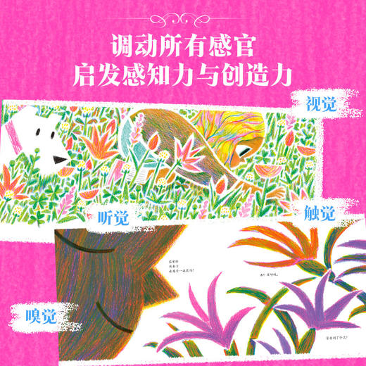 凯迪克大奖绘本精选4册 肖恩 哈里斯 等著你真的看过一朵花吗 你好灯塔 奶奶的红披风 小白找朋友 绘本 商品图3