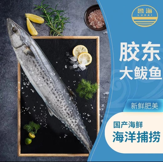 鲁海胶东鲅鱼馅（盒装）500克×4盒 商品图1