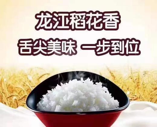 HEB稻花香大米5斤/袋/2袋 商品图0