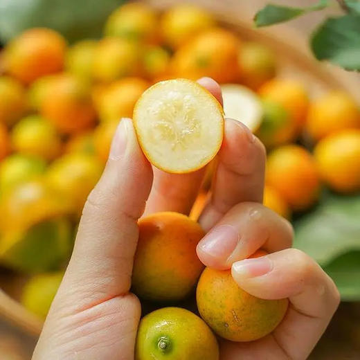 冰雪脆蜜晶柑24枚-5A（38-48g）| 精品水果礼盒 商品图2