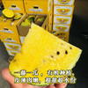 冰淇淋西瓜（2枚礼盒装） | 精品水果礼盒 商品缩略图3