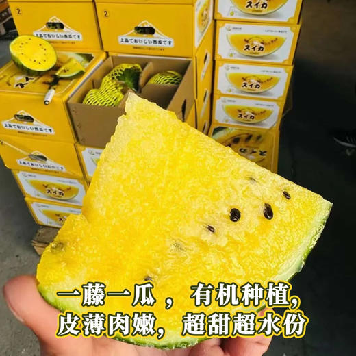 冰淇淋西瓜（2枚礼盒装） | 精品水果礼盒 商品图3