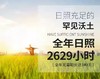 HEB稻花香大米5斤/袋/2袋 商品缩略图9