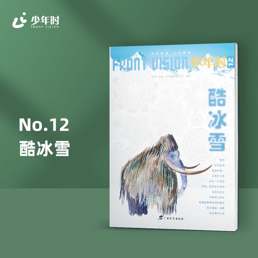 少年时12 酷冰雪 商品图0