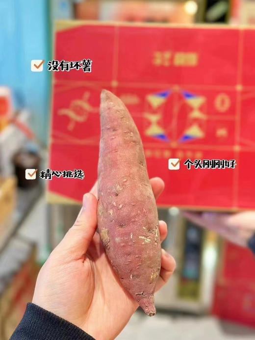 52°良作地瓜🍠一款上央视的良作地瓜🍠
蒸红薯口感软糯无筋，烤红薯香甜流油！甜、香、糯、粉，52度甜蜜新高度，也许正是你在寻找的那颗红薯！ 商品图4