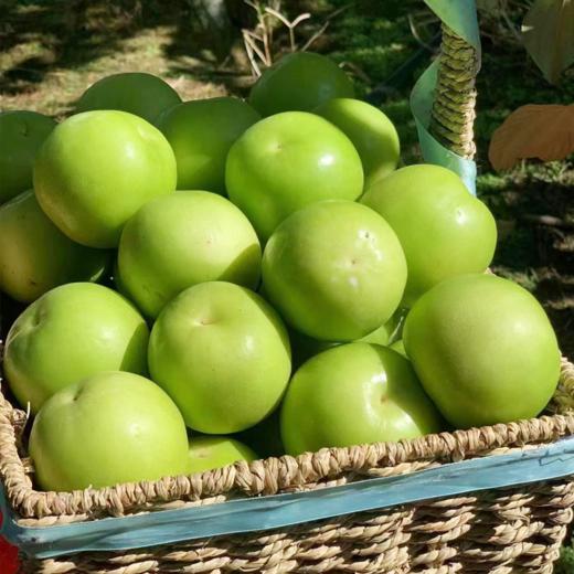 蜜诺正宗云南苹果枣 | 水果 商品图3