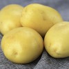 【果实饱满 肉质肥厚！黄皮土豆】自然成熟、农家肥培 育、品质可靠、安全 放心 产地直销土豆 商品缩略图0
