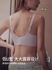 点此购买 爱慕女士蕾丝网纱洞洞薄杯文胸 艾 280072 商品缩略图4